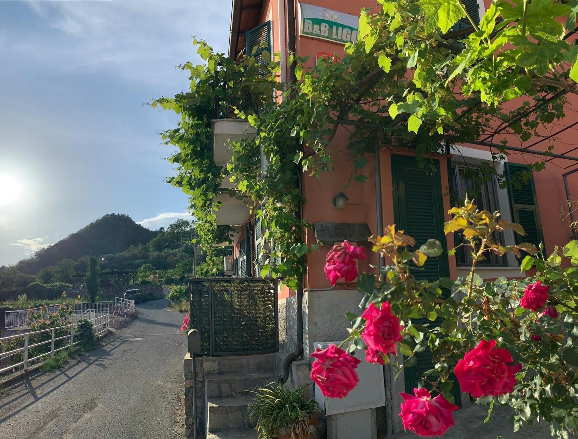 Bed and Breakfast Ligo Villanova d'Albenga Esterno foto