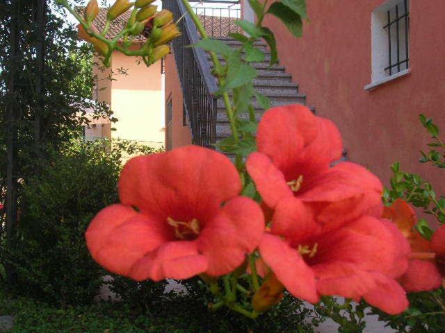 Bed and Breakfast Ligo Villanova d'Albenga Esterno foto