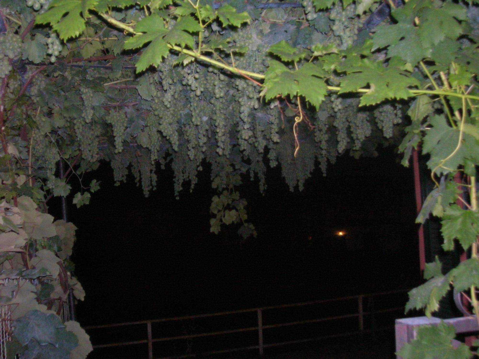 Bed and Breakfast Ligo Villanova d'Albenga Esterno foto
