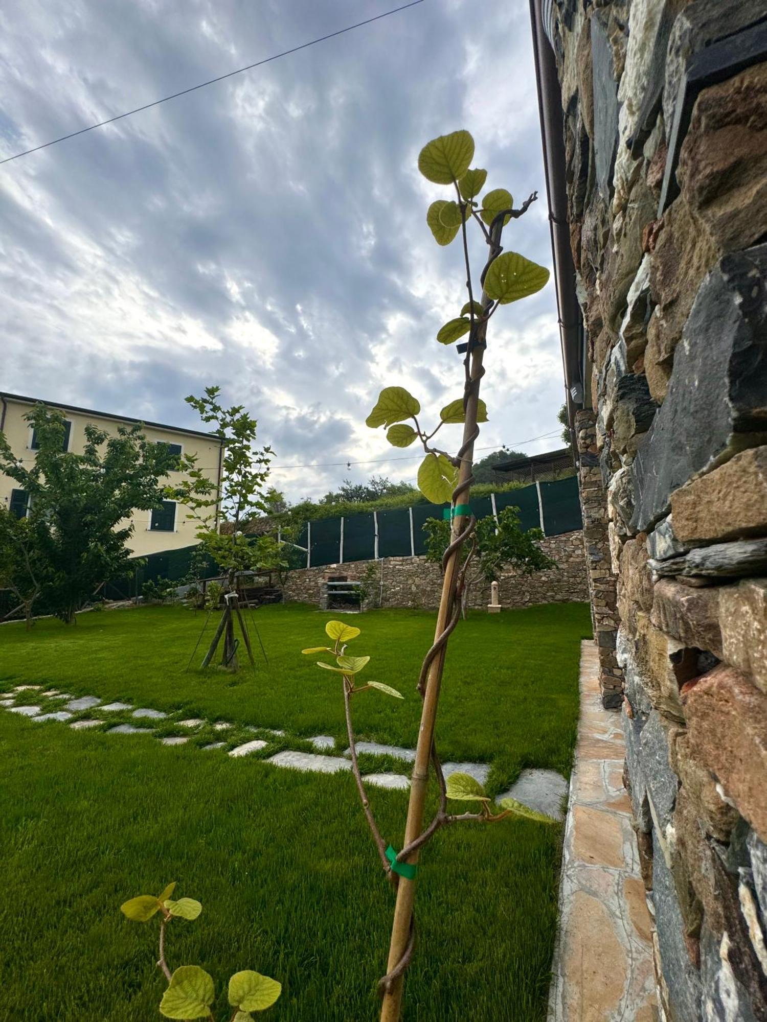 Bed and Breakfast Ligo Villanova d'Albenga Esterno foto