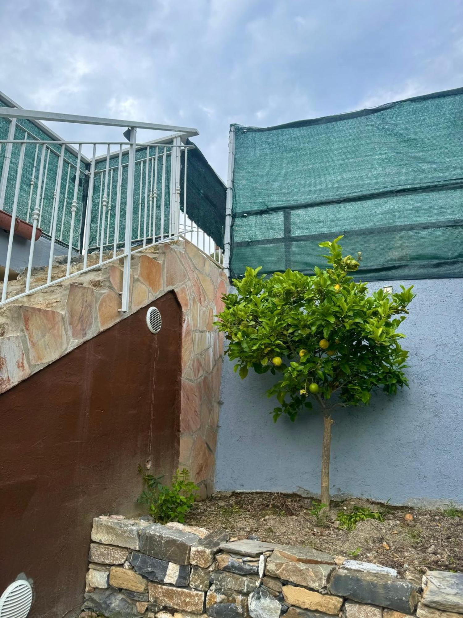 Bed and Breakfast Ligo Villanova d'Albenga Esterno foto