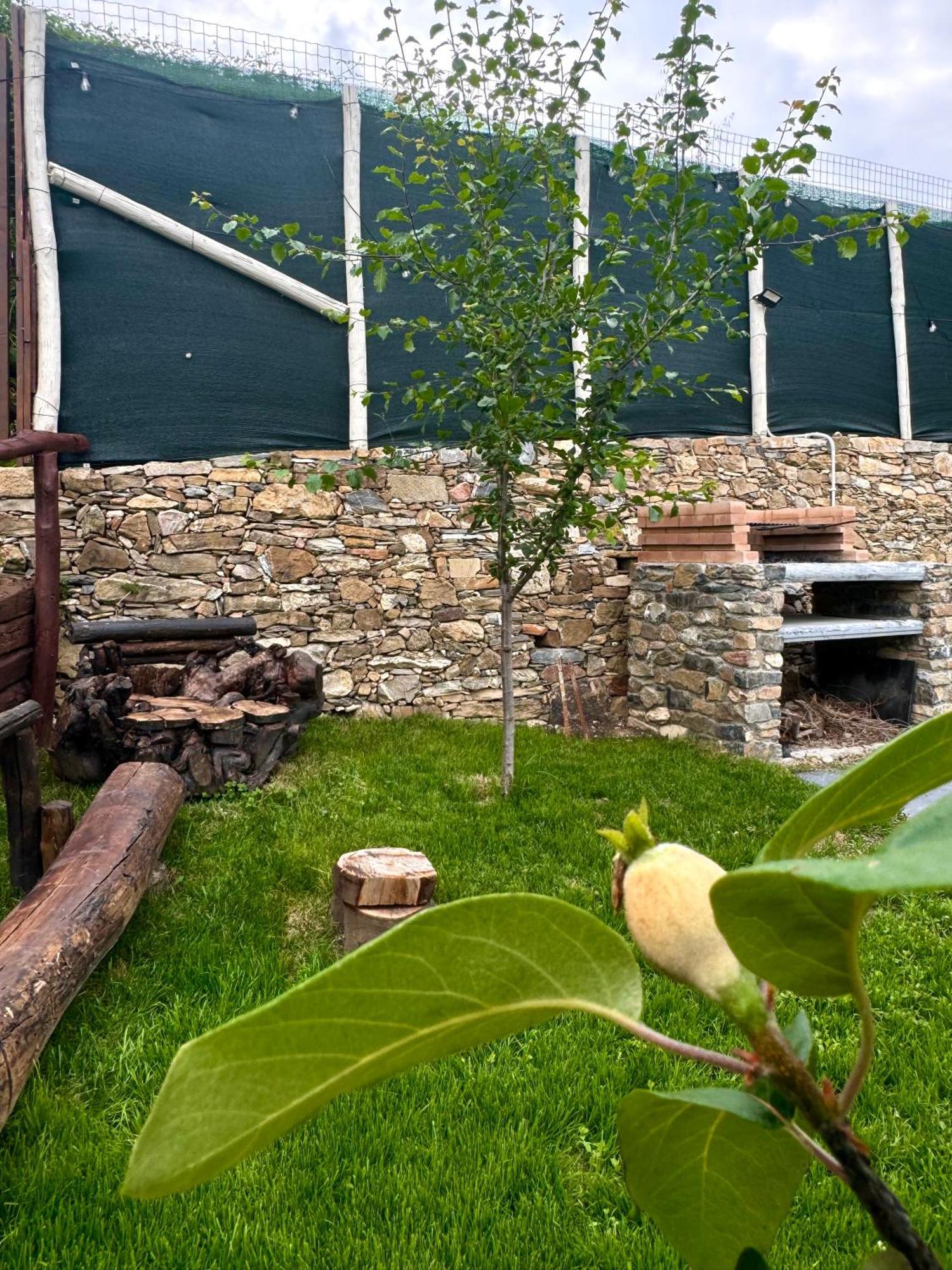 Bed and Breakfast Ligo Villanova d'Albenga Esterno foto